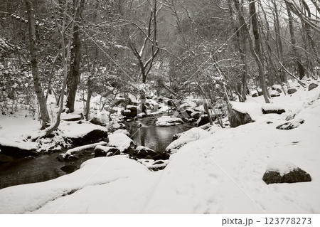 雪が降り積もる渓流 123778273