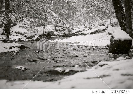 るり渓 るり渓 123778275