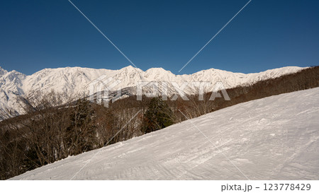 冬の北アルプス　山並み　長野県白馬村 123778429