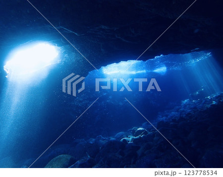 富戸ホールで見えるイルカ 富戸ホールで見えるイルカ 123778534