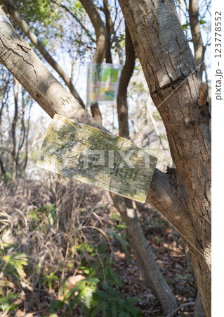 サンヒル東山の山頂(紀泉アルプス) サンヒル東山の山頂(紀泉アルプス) 123778552