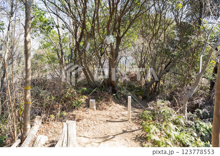 サンヒル東山の山頂(紀泉アルプス) サンヒル東山の山頂(紀泉アルプス) 123778553