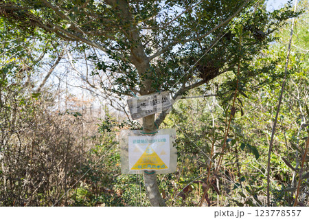 俎石山の山頂（紀泉アルプス） 123778557