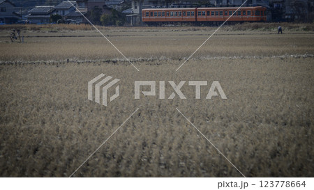 夕日を浴びながら走るキハ 123778664