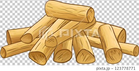 Sandalwood Sticks Colored Detailed Illustration 123778771