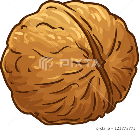 Walnut Colored Detailed Illustration. Organic natural nutritional healthy food ingredient, vegetarian diet product. Walnut Colored Detailed Illustration. Organic natural nutritional healthy food ingredient, vegetarian diet product. 123778773