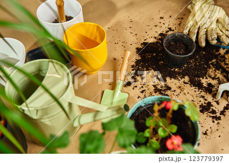 Potted plant in decorative pot with gardening tools and scattered soil on floor during repotting. Concept of home gardening and plant care Potted plant in decorative pot with gardening tools and scattered soil on floor during repotting. Concept of home gardening and plant care 123779397