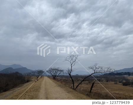 "Scenic Stroll Along the Seomjin River Walking Trail in Gure" 123779439