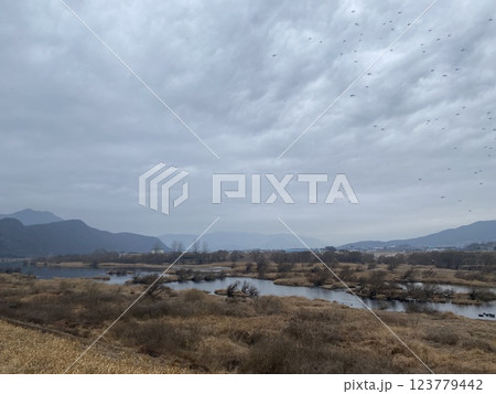 "Scenic Stroll Along the Seomjin River Walking Trail in Gure" 123779442
