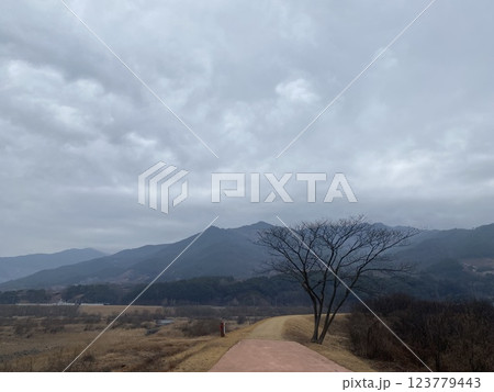 "Scenic Stroll Along the Seomjin River Walking Trail in Gure" 123779443