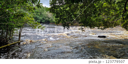 Macaws waterfall in Presidente Figueiredo near Manaus in the amazon region in Brazil 123779507