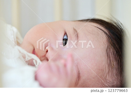 見つめる新生児 ベッドで寝ている赤ちゃん イメージ素材 見つめる新生児 ベッドで寝ている赤ちゃん イメージ素材 123779663