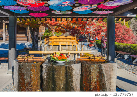 袋井市にある法多山尊永寺の手水舎と紅葉の風景(静岡県) 123779757
