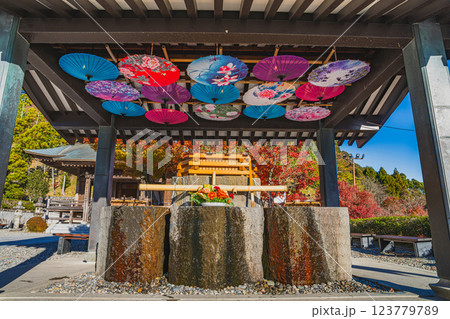 袋井市にある法多山尊永寺のカラフルな手水舎と紅葉の風景(静岡県) 123779789