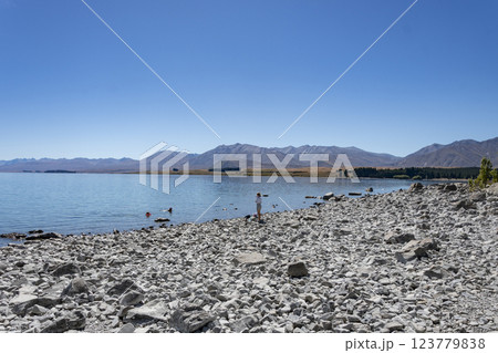 ニュージーランド南島 テカポ湖畔 ニュージーランド南島 テカポ湖畔 123779838