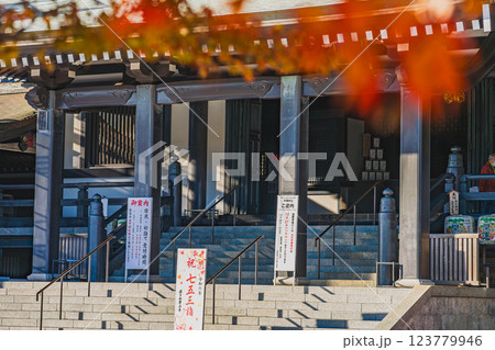 袋井市にある法多山尊永寺の秋の紅葉に染まる本堂の風景(静岡県) 123779946