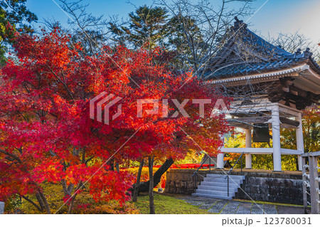 袋井市にある法多山尊永寺の紅葉に包まれた鐘楼堂の風景(静岡県) 袋井市にある法多山尊永寺の紅葉に包まれた鐘楼堂の風景(静岡県) 123780031