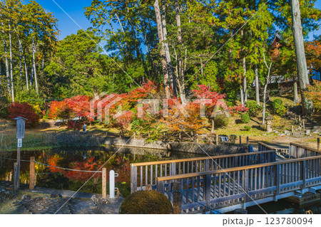 袋井市にある紅葉に彩られた可睡斎の放生池の風景(静岡県) 123780094