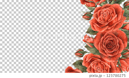 Roses of bright red velvet color with buds and green leaves. Watercolor frame of flowers, located on the right side. Suitable for decoration of floristry design, Valentine's Day, Weddings, Birthdays 123780275