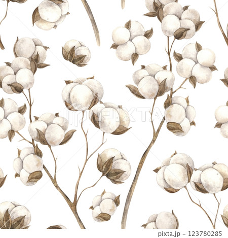 Seamless watercolor pattern of cotton and branches. Pattern on a white background in a minimalist style, hand-drawn. Interior pattern, wedding design, fabric, packaging design, wrapping paper Seamless watercolor pattern of cotton and branches. Pattern on a white background in a minimalist style, hand-drawn. Interior pattern, wedding design, fabric, packaging design, wrapping paper 123780285