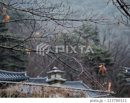"Tranquil Yeongoksa Temple Scenery on a Rainy Day" "Tranquil Yeongoksa Temple Scenery on a Rainy Day" 123780321