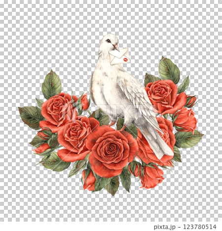 White dove with letter and kiss surrounded by bouquet of bright red realistic roses with leaves. Watercolor hand drawn illustration in vintage style, for Valentine's Day, wedding, anniversary design White dove with letter and kiss surrounded by bouquet of bright red realistic roses with leaves. Watercolor hand drawn illustration in vintage style, for Valentine's Day, wedding, anniversary design 123780514