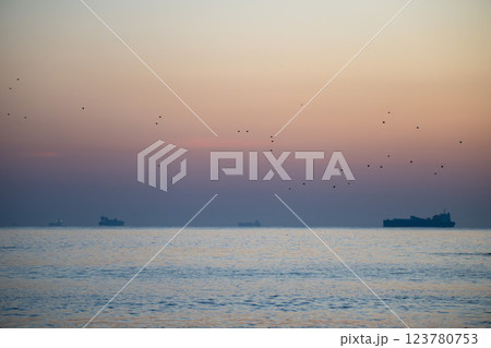 日の出を迎える海岸の鳥居と印象的な岩 123780753