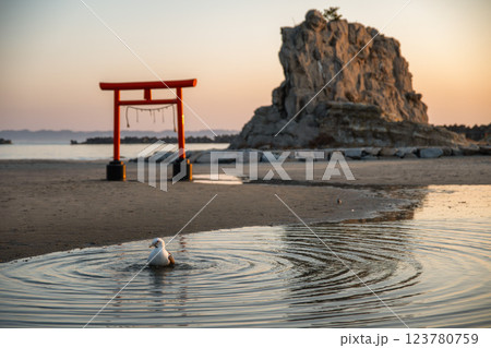 日の出を迎える海岸の鳥居と印象的な岩 123780759