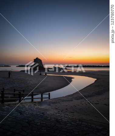 日の出を迎える海岸の鳥居と印象的な岩 123780770