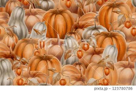 Autumn paved pattern of orange and gray pumpkins with branches of pisalis as symbols of fall harvest, pumpkin festival. Watercolor illustrations are hand drawn,pattern for kitchen textiles,packaging Autumn paved pattern of orange and gray pumpkins with branches of pisalis as symbols of fall harvest, pumpkin festival. Watercolor illustrations are hand drawn,pattern for kitchen textiles,packaging 123780786