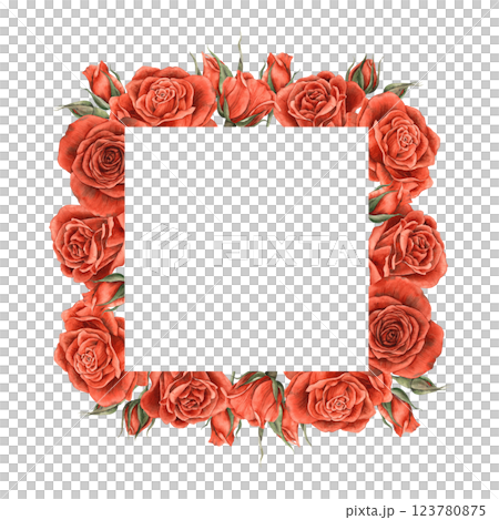 Red velvet bright roses with green leaves. Watercolor frame, square shape, roses are located on all sides, suitable for banners, cards, invitations, packaging, weddings, Valentine's Day, anniversary 123780875