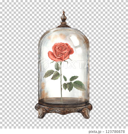 Vintage glass dome decorated with vintage pattern, red rose growing inside. Watercolor illustration for decoration and design for wedding, Valentine's Day, Halloween, vintage projects and fairy tales 123780878