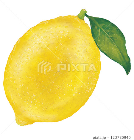 リアルな葉付きレモン1個のイラスト 123780940