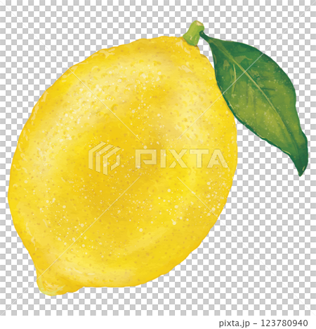 リアルな葉付きレモン1個のイラスト 123780940