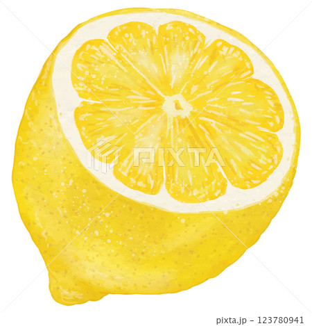 リアルなレモン半分カットのイラスト リアルなレモン半分カットのイラスト 123780941