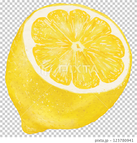 リアルなレモン半分カットのイラスト リアルなレモン半分カットのイラスト 123780941