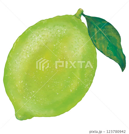 リアルな葉付き早熟レモン1個のイラスト 123780942