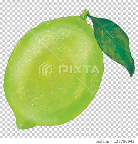 リアルな葉付き早熟レモン1個のイラスト 123780942
