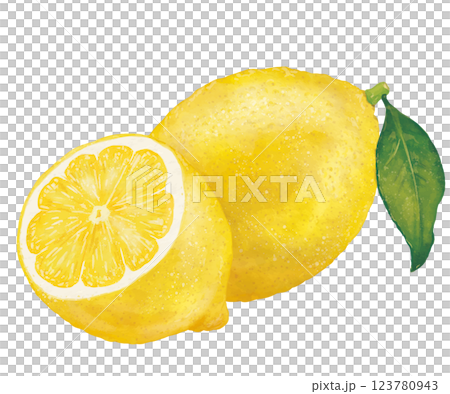 リアルな葉付きレモン1個と半分カットのイラスト 123780943