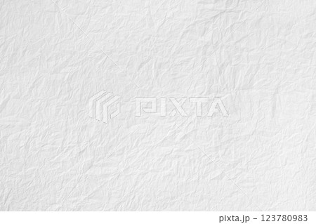 白い和紙の背景素材 白い和紙の背景素材 123780983