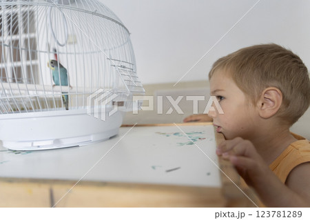 Curious child observing a small parrot in a cage Curious child observing a small parrot in a cage 123781289