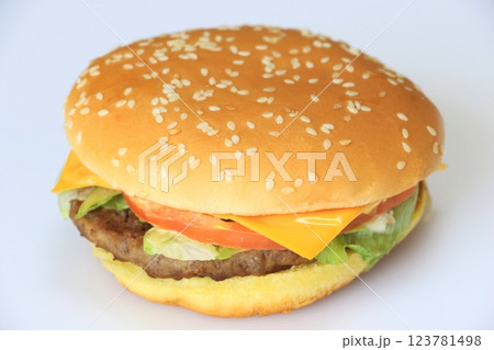 ハンバーガー 123781498
