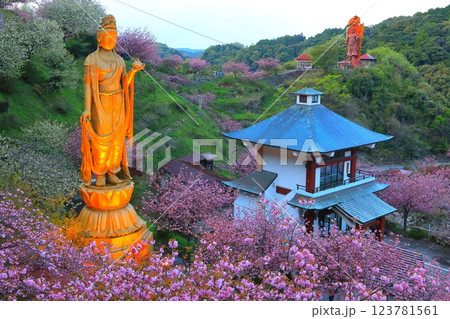 八重桜満開の一心寺（観音像・大分市） 123781561