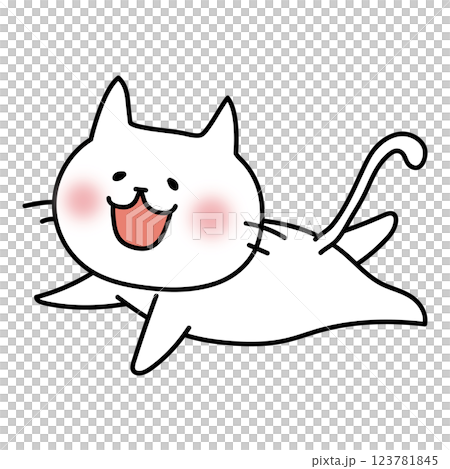 白貓在天空飛翔 白貓在天空飛翔 123781845