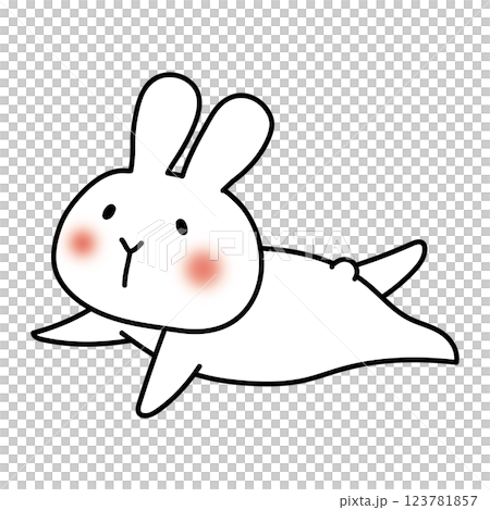 空を飛ぶ白いうさぎ 123781857