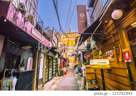 日本の東京都市景観 三軒茶屋駅すぐの飲み屋街「三茶3番街」(三軒茶屋三角地帯)などを望む 日本の東京都市景観 三軒茶屋駅すぐの飲み屋街「三茶3番街」(三軒茶屋三角地帯)などを望む 123782945