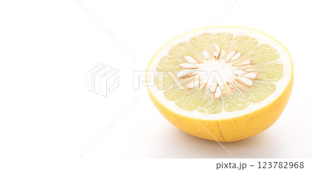 土佐文旦　（白背景） 123782968