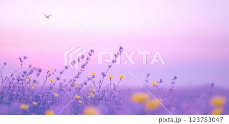 dreamy canola flower field stretching endlessly under pastel pink and purple sky 123783047