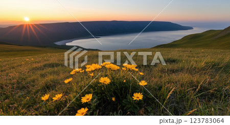 scenic coastal spring landscape with golden wildflowers at sunset, overlooking calm bay 123783064