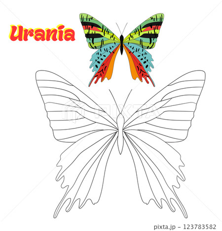 Educational game coloring book butterfly vector Educational game coloring book butterfly vector 123783582